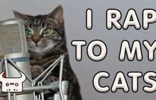 Listen To This Guy’s Affectionate Rap For His Three Cats