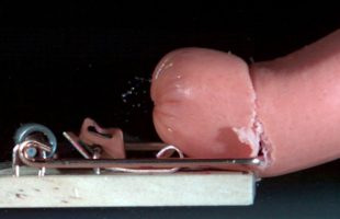 Finally, A Mousetrap Slicing A Hot Dog In Slow Motion