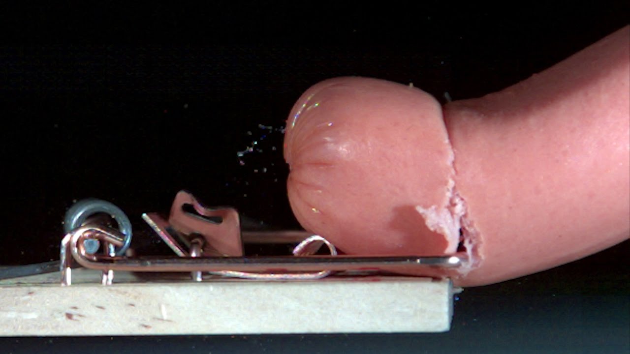 Finally, A Mousetrap Slicing A Hot Dog In Slow Motion