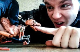 You Have To Check Out This Super Intricate Raptor Puppet