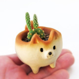 Shibu Inu Planters