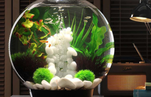 Unique Aquariums And Terrariums For Your Home
