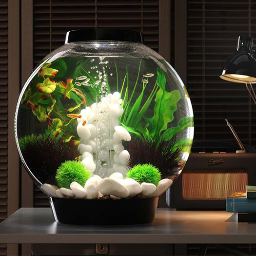 Unique Aquariums And Terrariums For Your Home Unique Aquariums And Terrariums For Your Home