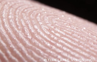 An Anxiety-Inducing Super Close Close-Up Of A Fingertip Sweating