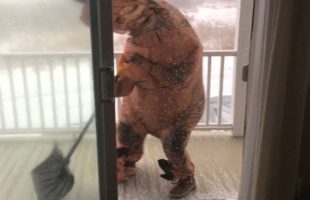 Watch This Lady In A T-Rex Suit Try To Shovel In A Blizzard