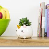 Unicorn Planter