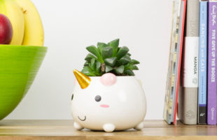 Here’s The Unicorn Planter You’ve Always Dreamed Of