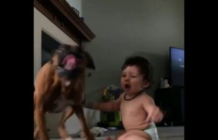 Watch This Adorable Baby And Her Dog Go Crazy Over Bubbles