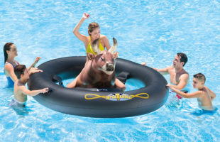 Inflat-A-Bull Is The Bull Riding Pool Float Of Your Dreams
