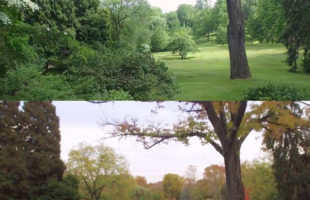 A Timelapse Of Seasons Changing Is So Damn Pretty