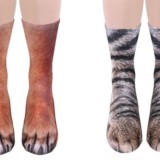 Animal Socks