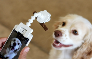 This Phone Attachment Holds A Treat For Better Pet Photos