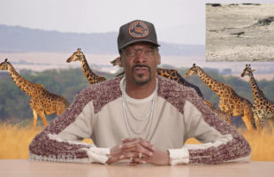 You Have To Watch As Snoop Dogg Narrates Iguana vs. Snakes