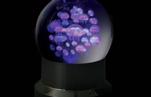 Swimming Jellyfish Captured in the Crystal Moon Sphere