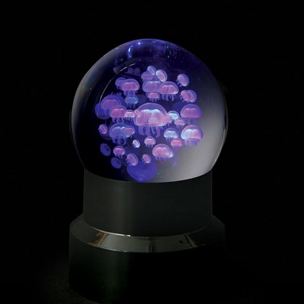 Swimming Jellyfish Captured in the Crystal Moon Sphere