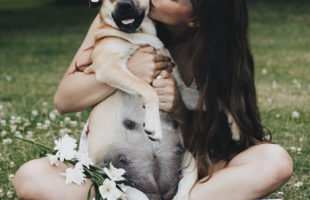 Photoshoot Of Pregnant Dog