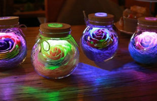 Romantic Illumination – Rose Light Bottle