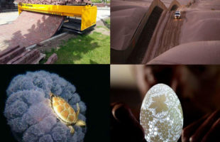 Some Incredible Things to Watch Ever
