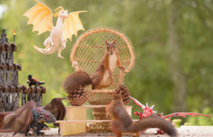 Game Of Thrones by Little Cute Squirrels