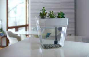 Back to the Roots AquaFarm Fish Tank
