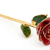 Eternity Rose