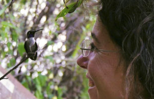 Adorable Bonding with Hummingbirds