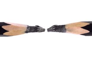 Miniature Game of Thrones Sculptures from Pencil Leads.
