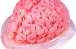Halloween Plastic Brain Jello Chocolate Mold