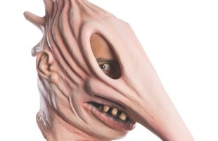Halloween Men’s Beetlejuice Adam Mask