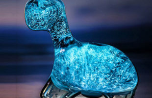 Sweet Dino Pet The Bioluminescent