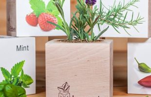 Pre-Seeded Organic Wood Planters: EcoCubes