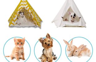 Portable Pet Tents