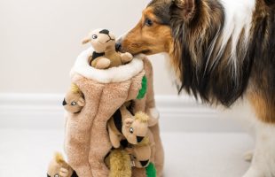 Puzzle Plush Squeaking Toys for Dogs