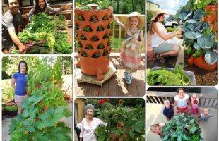 Garden Tower 2 An Organic Container Garden