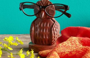 Eyeglasses Holder in Shape of an Owl