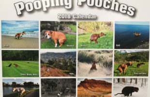 Pooping Dogs Calendar!!! Ohh  Yuck!