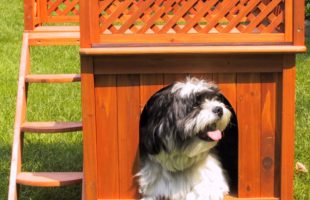 Wooden Small Pet Home