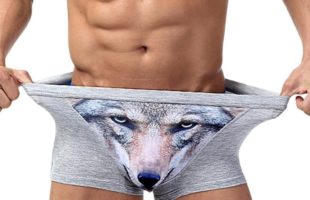 Boxer Briefs with 3D Wolf Print For Men