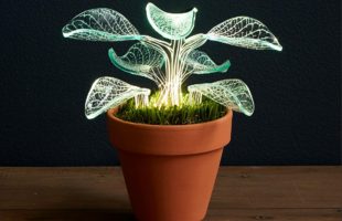 Magnificent Glow Lamp