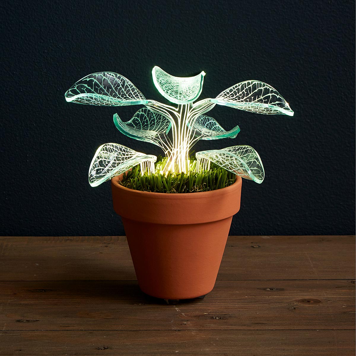 Magnificent Glow Lamp