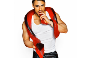 Giant Gummy Party Python
