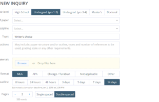 Review of SmartWritingService: Essay Writing Company