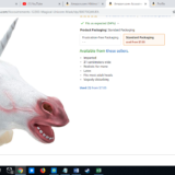 Magical Unicorn Mask