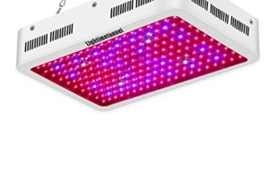 Best LED Grow Lights: How the Top LED Grow Lights are Making Weed Better