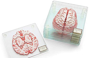 Brain Specimen Coasters