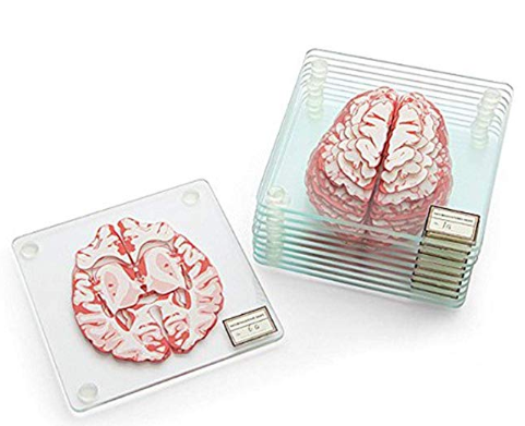 Brain Specimen Coasters