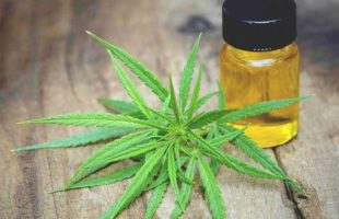 The Ultimate Guide to Buying CBD Oil for Inflammation