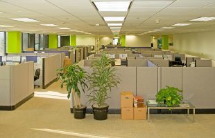 Office Cubicle Converted Into A Castle