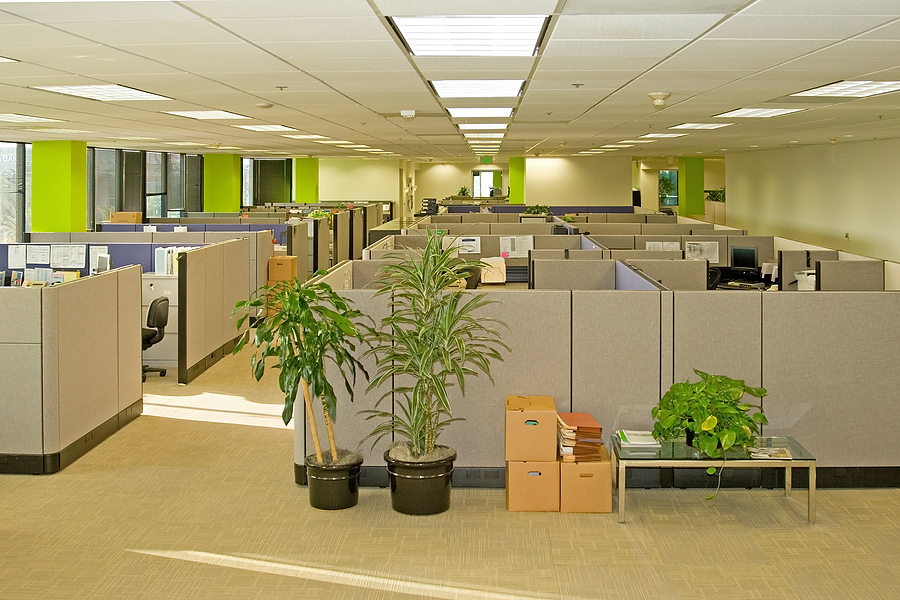 Office Cubicle Converted Into A Castle