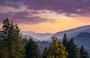 Getting Help With Your Landscaping